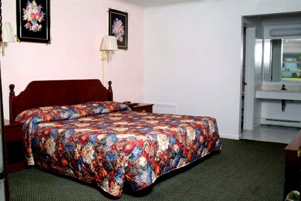 Room, 1 King Bed photo 1