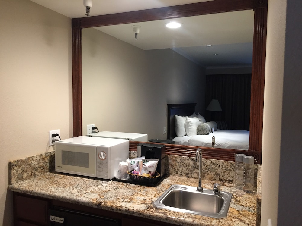 Room, 1 King Bed (Coast King with Wetbar)