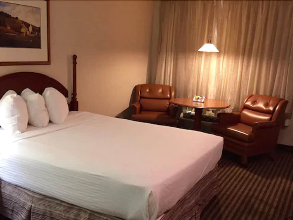 Business Room, 1 King Bed, Non Smoking (No Pets Allowed) photo 3