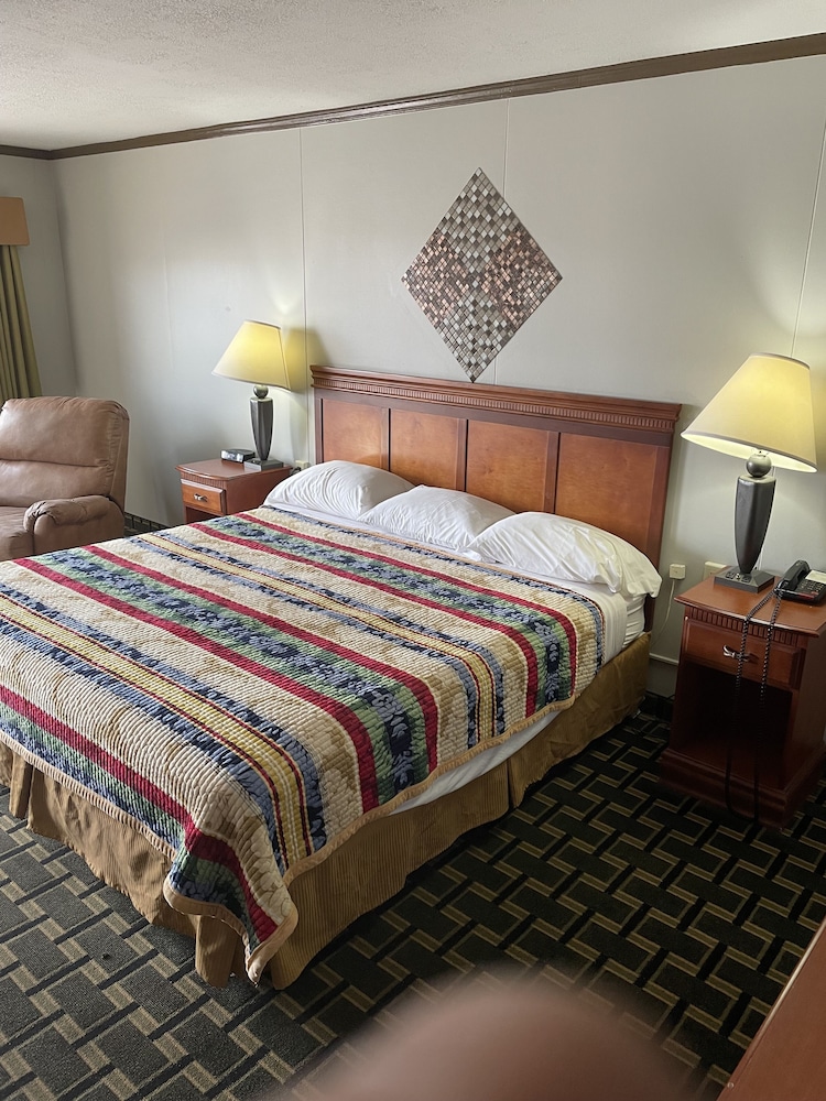 Basic Single Room photo 3