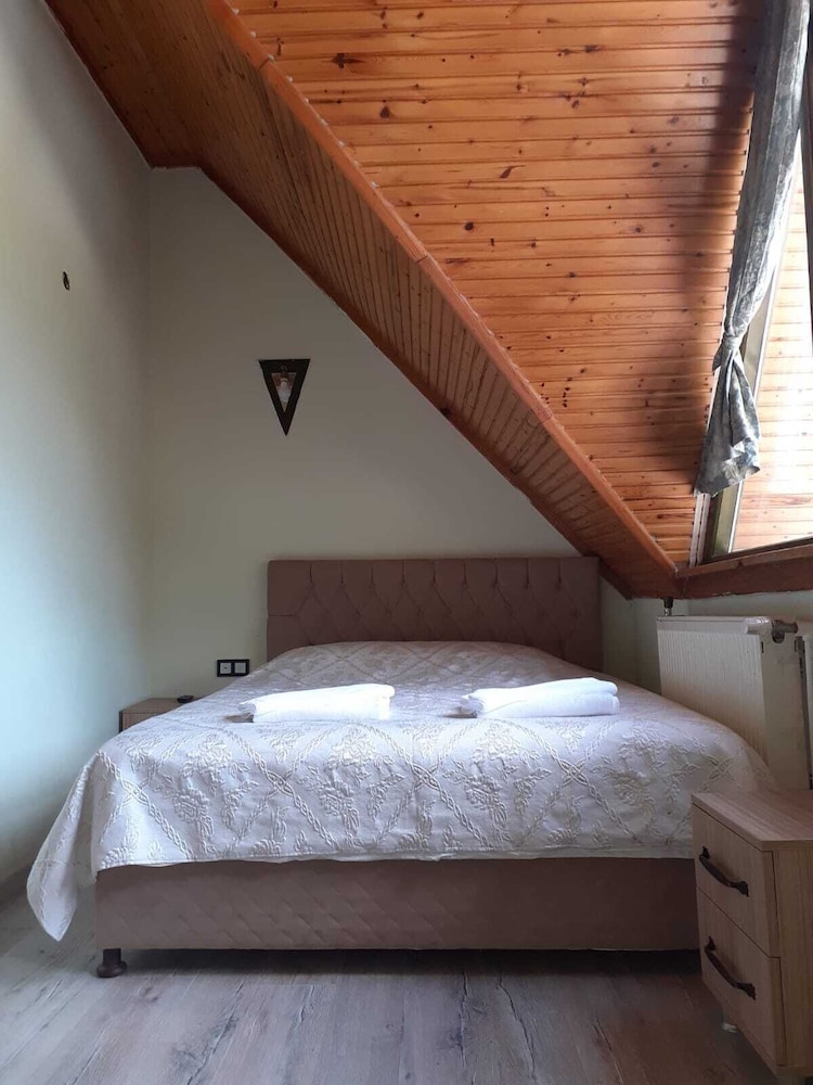 Standart Orman Manzarali Oda photo 1