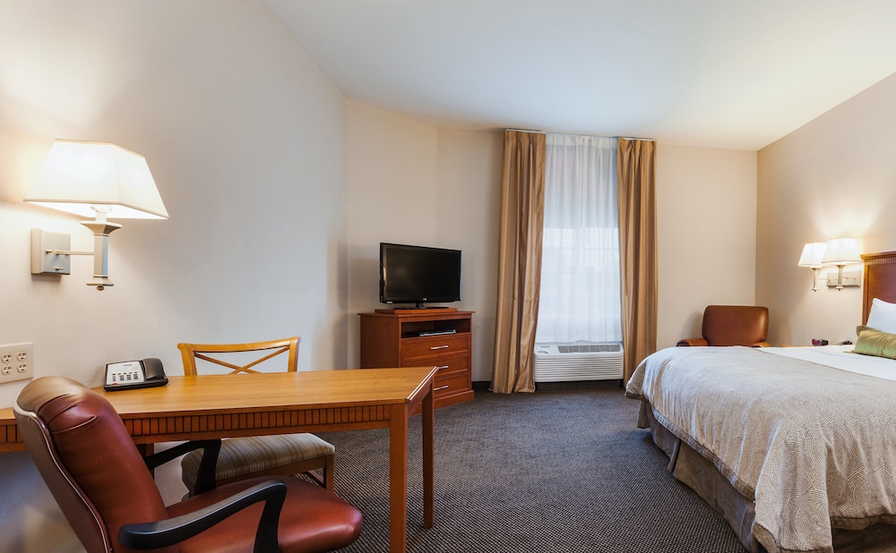 Suite, 1 Bedroom - Photo 1