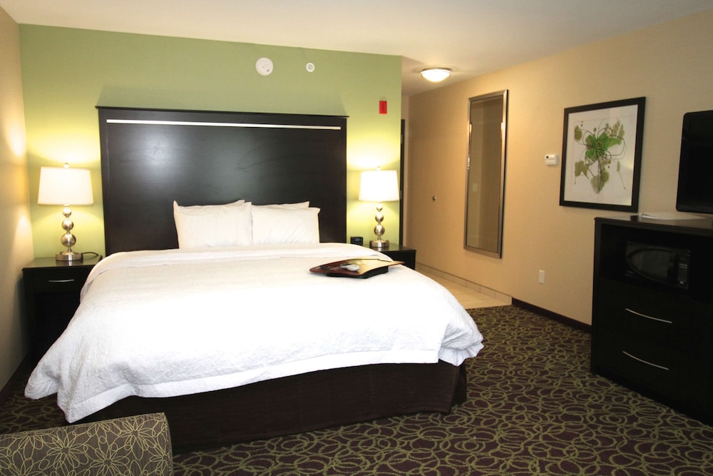 Room, 1 King Bed, Accessible, Non Smoking - Photo 2