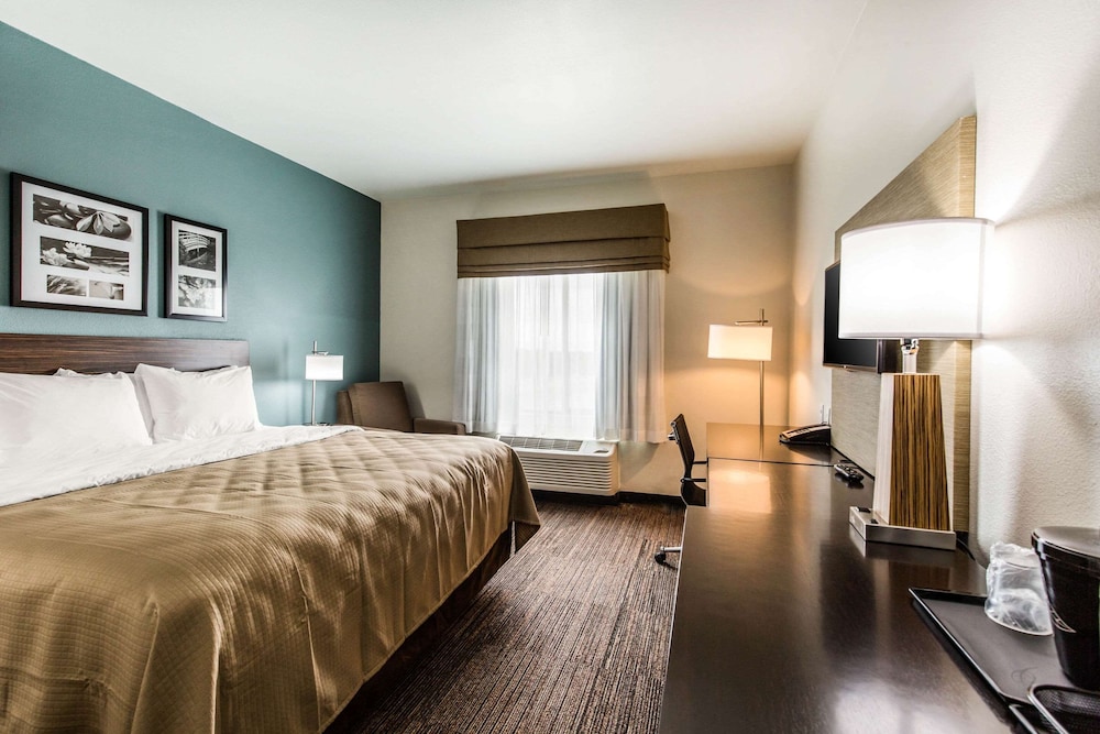 Standard Room, 1 King Bed, Non Smoking photo 2