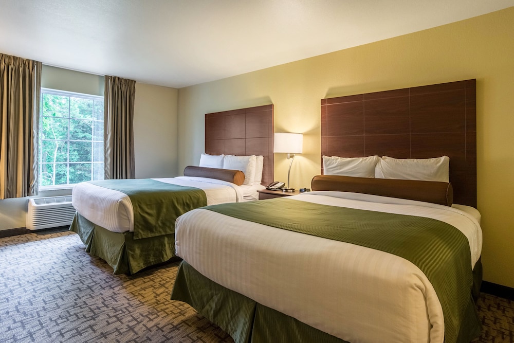 Room, 2 Queen Beds, Non Smoking photo 2