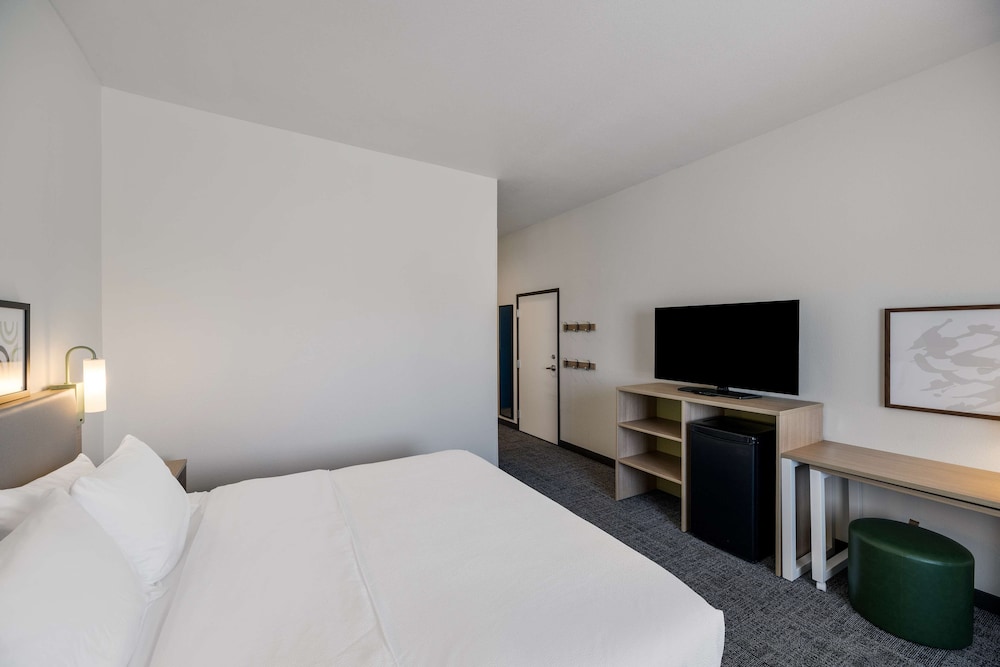 Room, 1 King Bed, Accessible (Mobility) photo 2