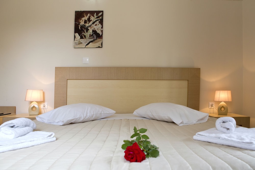Comfort Double or Twin Room photo 2
