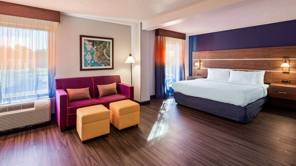 Standard Room, 1 King Bed, Non Smoking, Refrigerator & Microwave (Shower Only;with Sofabed) photo 2