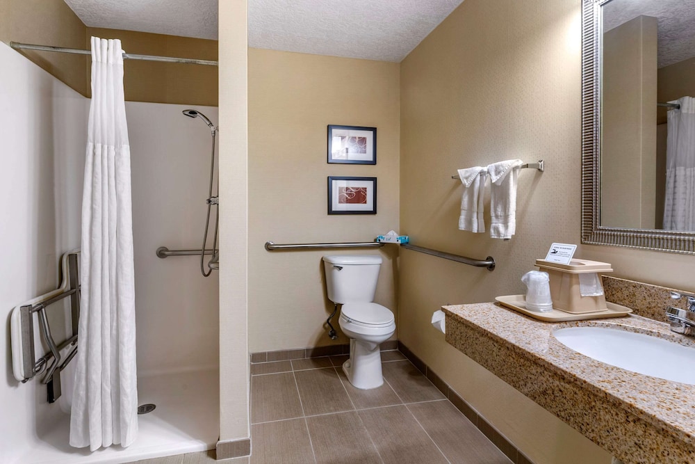 Suite, 1 King Bed with Sofa bed, Accessible, Non Smoking - Photo 3