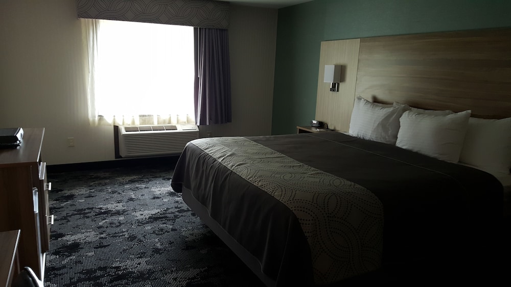 Room, 1 King Bed photo 1
