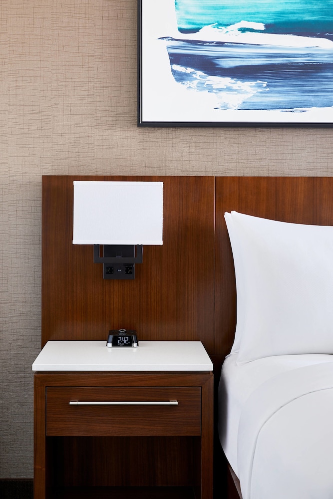 Room, 1 King Bed with Sofa bed (Mobility/Hearing Access, Roll-in Shwr) - Photo 1