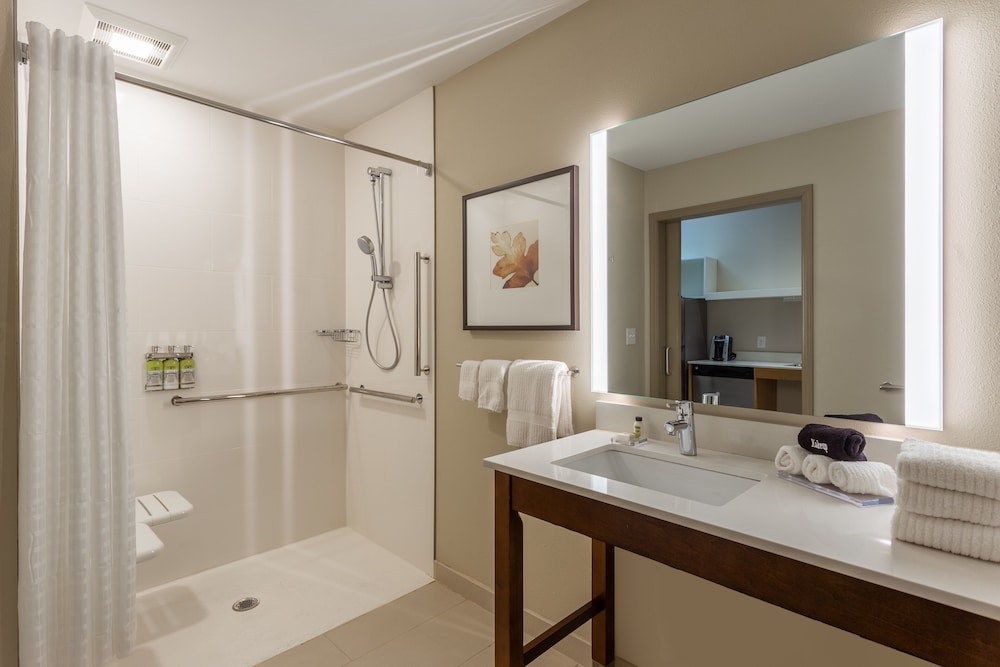 Studio Suite, 1 Queen Bed, Accessible (Roll-In Shower) photo 1