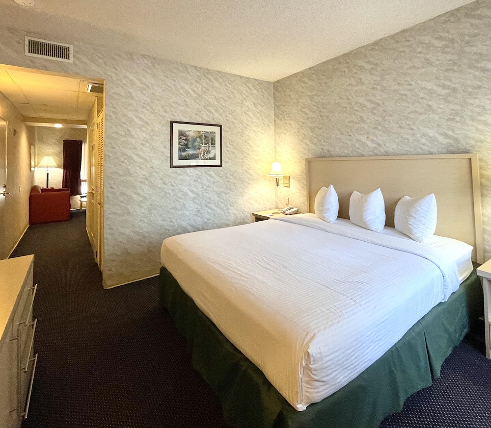 Room, 1 King Bed, Accessible, Non Smoking photo 1