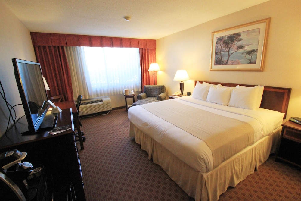 Room, 1 King Bed, Courtyard View - Photo 7