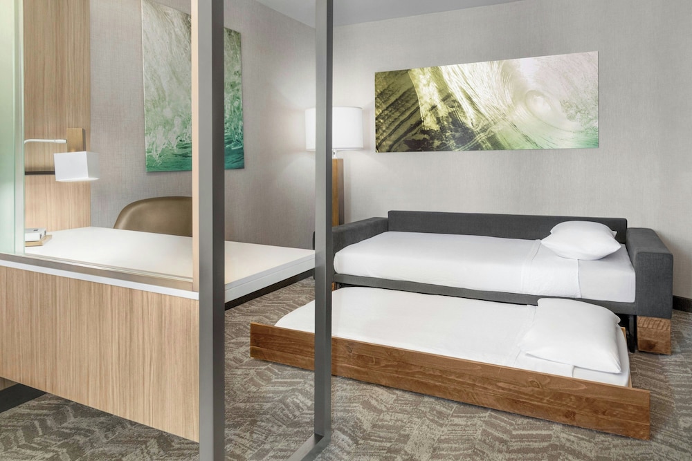 Suite, 1 King Bed (Mobility Accessible, Roll-In Shower) - Photo 4