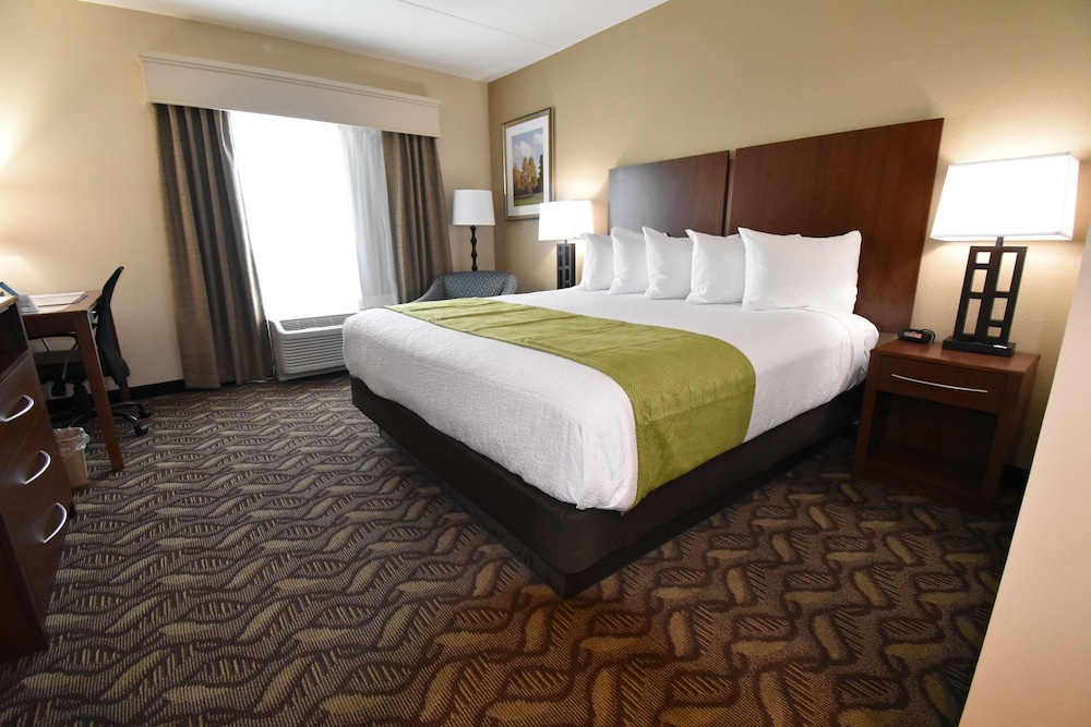 Standard Room, 1 King Bed, Non Smoking, Refrigerator & Microwave (Main Tower) - Photo 2
