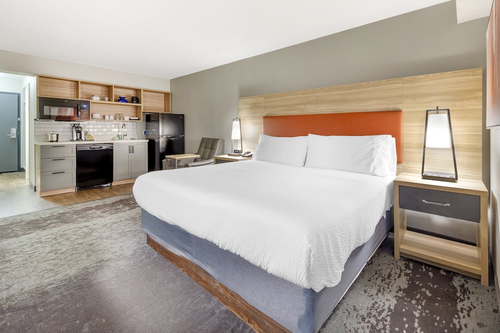 Studio Suite, 1 King Bed (Pet Friendly) photo 2