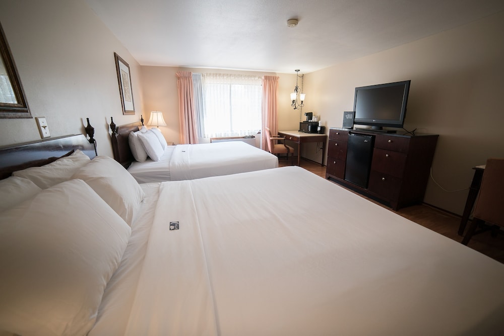 Standard Room, Multiple Beds photo 2