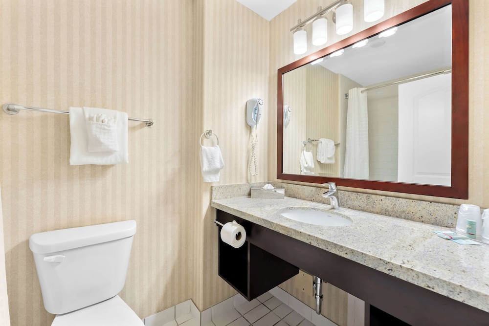 Standard Room, 1 Queen Bed, Non Smoking, Refrigerator & Microwave (Pet Friendly;with Sofabed) - Photo 3