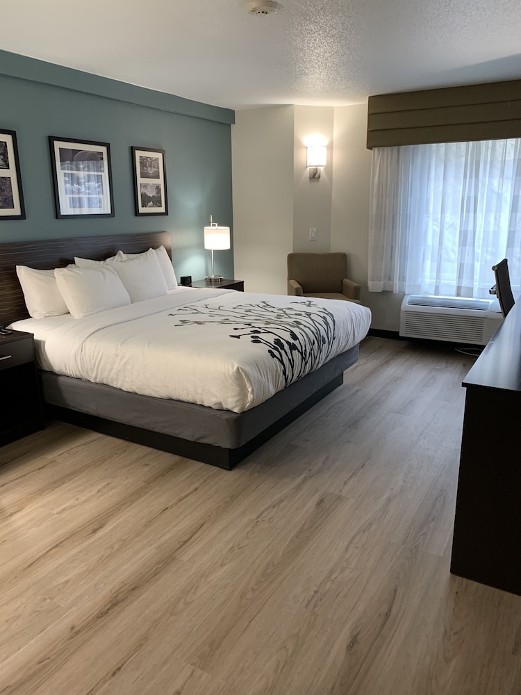 Room, 1 King Bed, Non Smoking - Photo 1