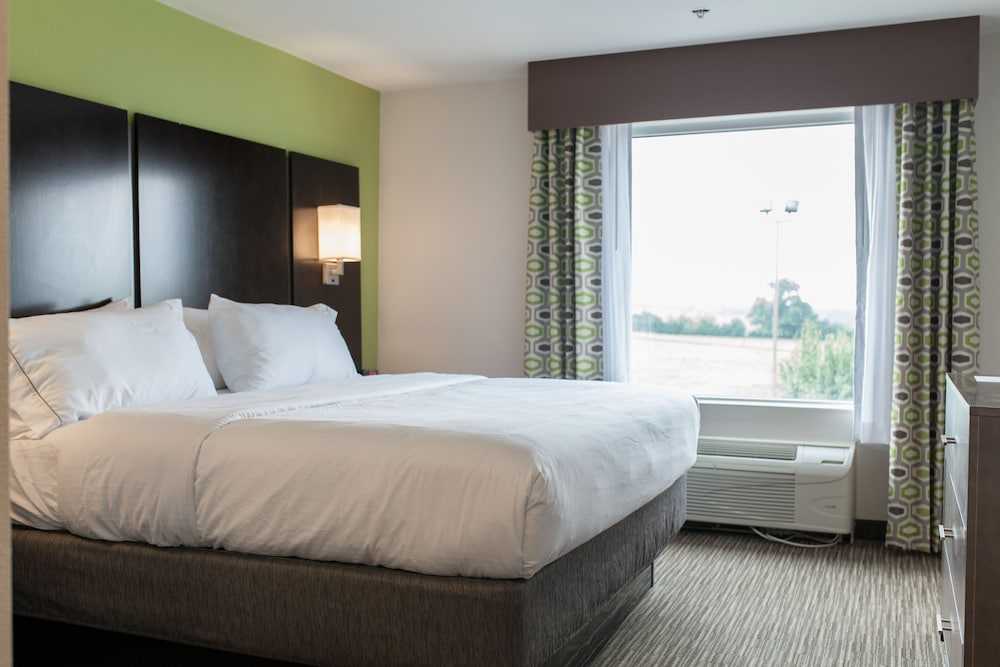 Suite, 1 King Bed with Sofa bed, Refrigerator photo 1
