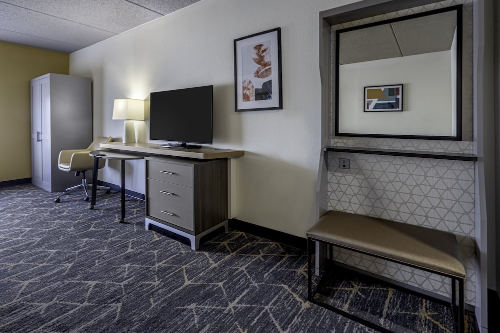 Standard Room, 1 King Bed, Accessible Bathtub (Communications) - Photo 6