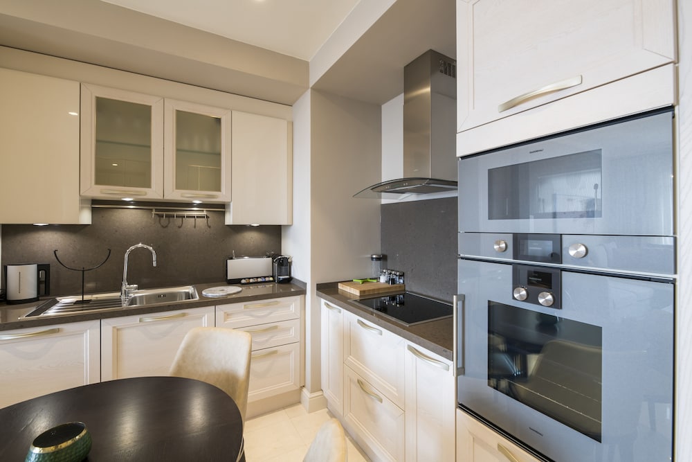Apartment, 1 Bedroom, Kitchenette photo 3