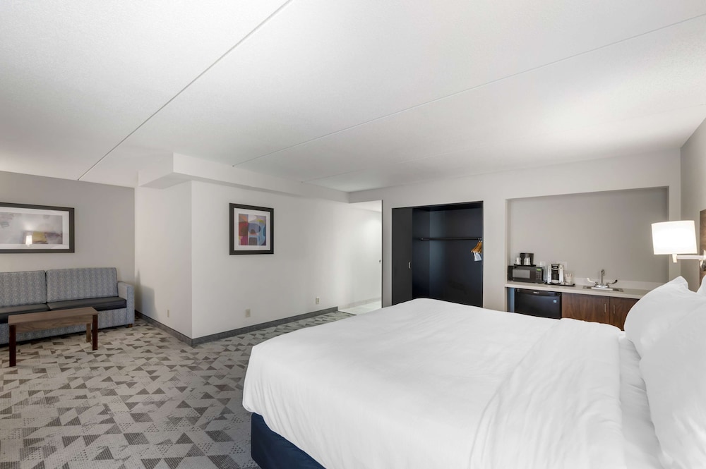 Suite, 1 King Bed, Non Smoking, Refrigerator & Microwave (with Sofabed) photo 2