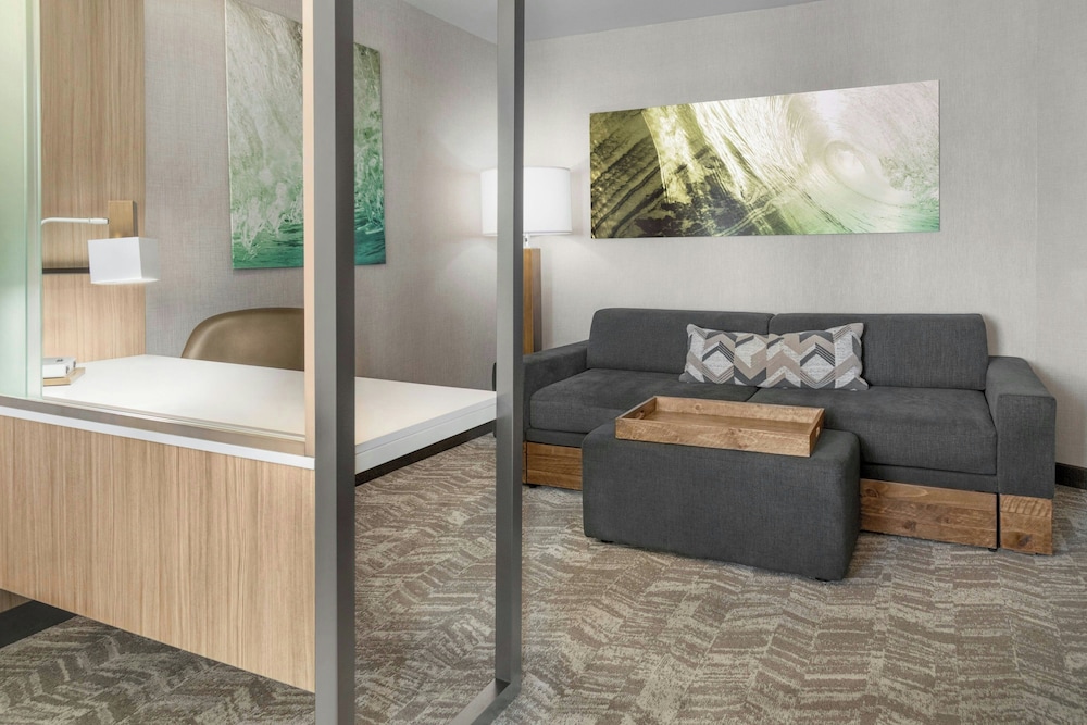 Suite, 1 King Bed (Mobility Accessible, Roll-In Shower) - Photo 5