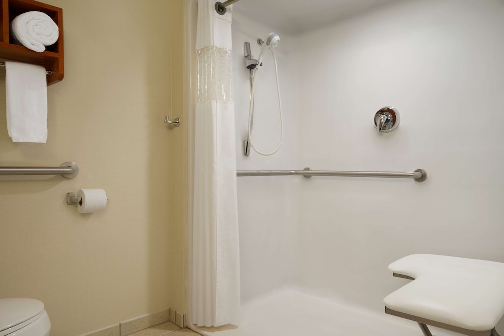 Room, 1 King Bed, Accessible (Mobility, Roll-in Shower) - Photo 3