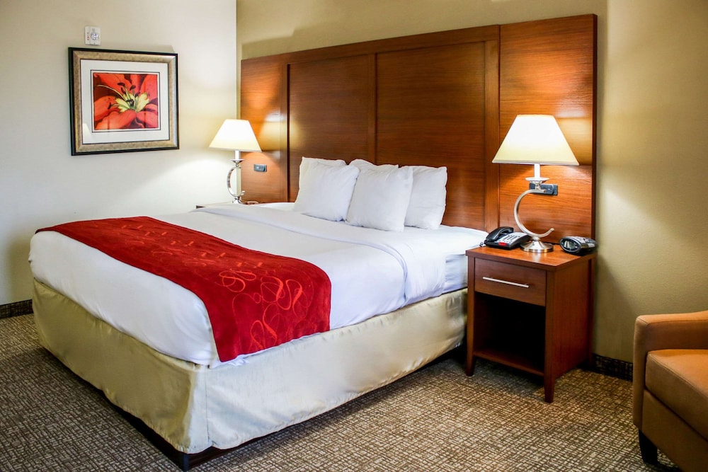 Comfort Suites At Virginia Center Commons, Billede 5