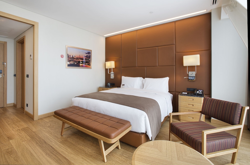 Room, 1 King Bed, Accessible photo 1