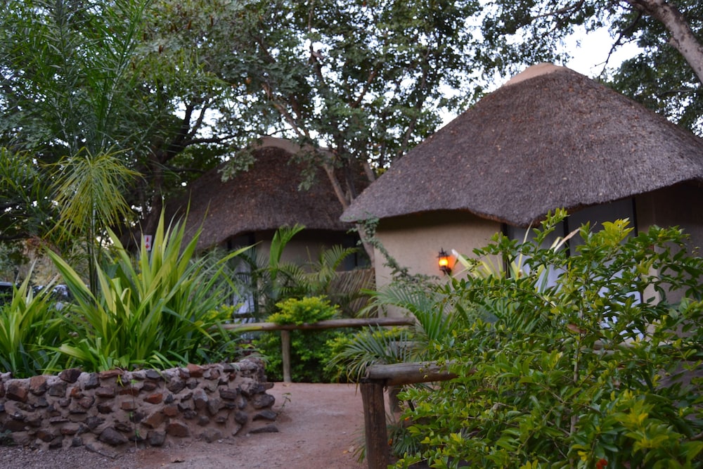 Traditional Single Room, 1 Bedroom, Accessible, Garden View photo 2