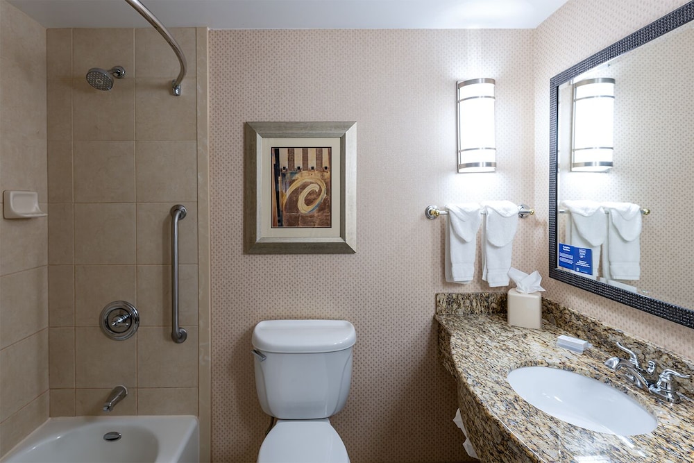 Suite, 1 King Bed, Accessible - Photo 4