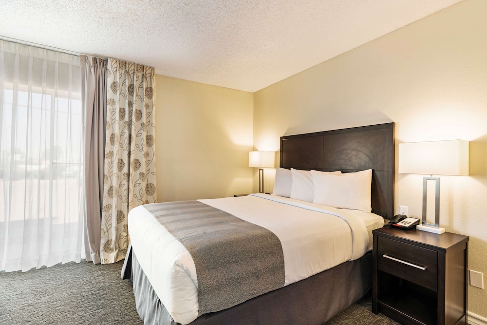 Signature Room, 1 Queen Bed - Photo 5