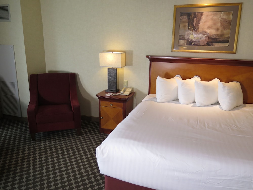 Premium Room, 1 King Bed - Photo 1