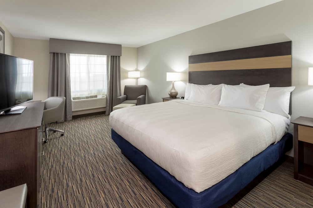 Standard Room, 1 King Bed photo 3