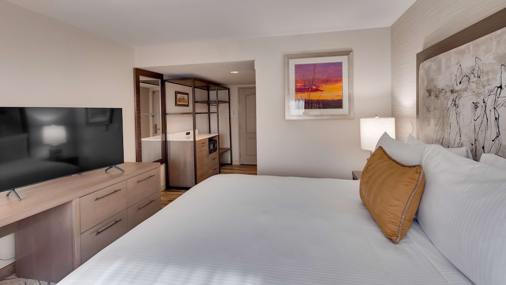 Standard Room, 1 King Bed, Accessible, Refrigerator & Microwave - Photo 3