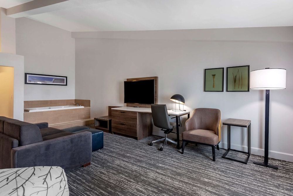 Standard Room, 1 King Bed, Non Smoking, Refrigerator & Microwave (Shower Only)