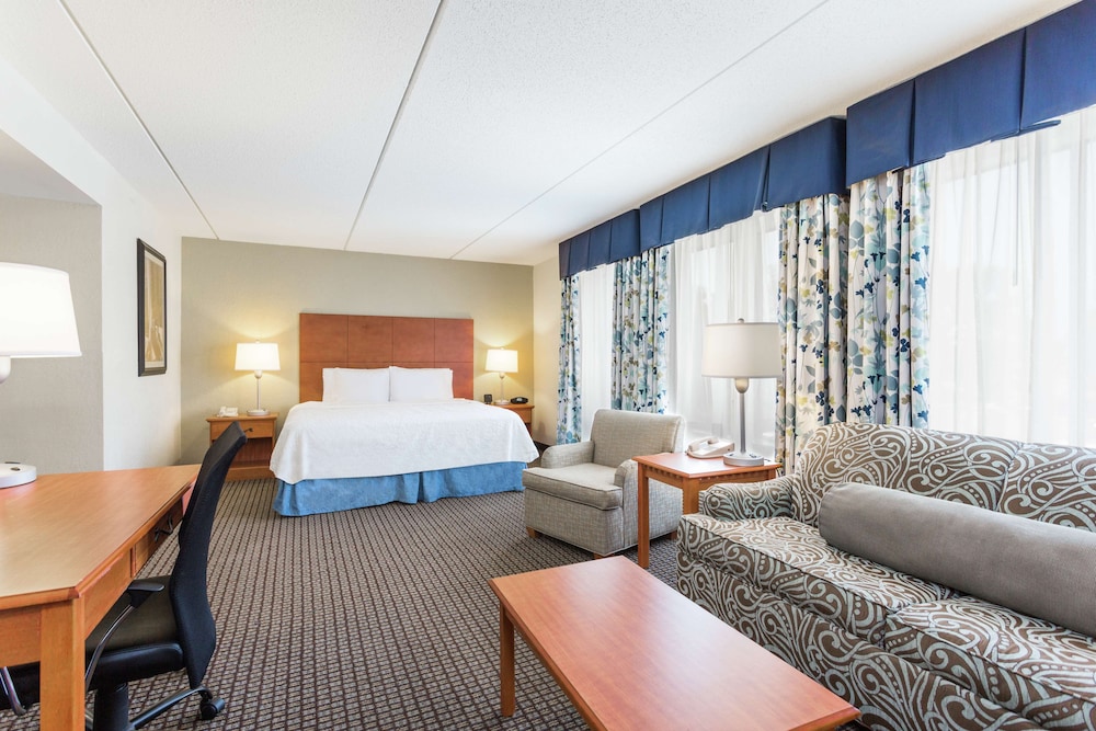 Suite, 1 King Bed, Accessible, Non Smoking - Photo 4