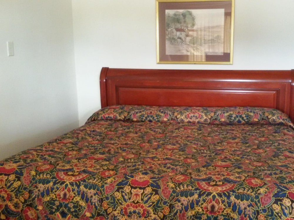 Basic Single Room, 1 King Bed photo 2