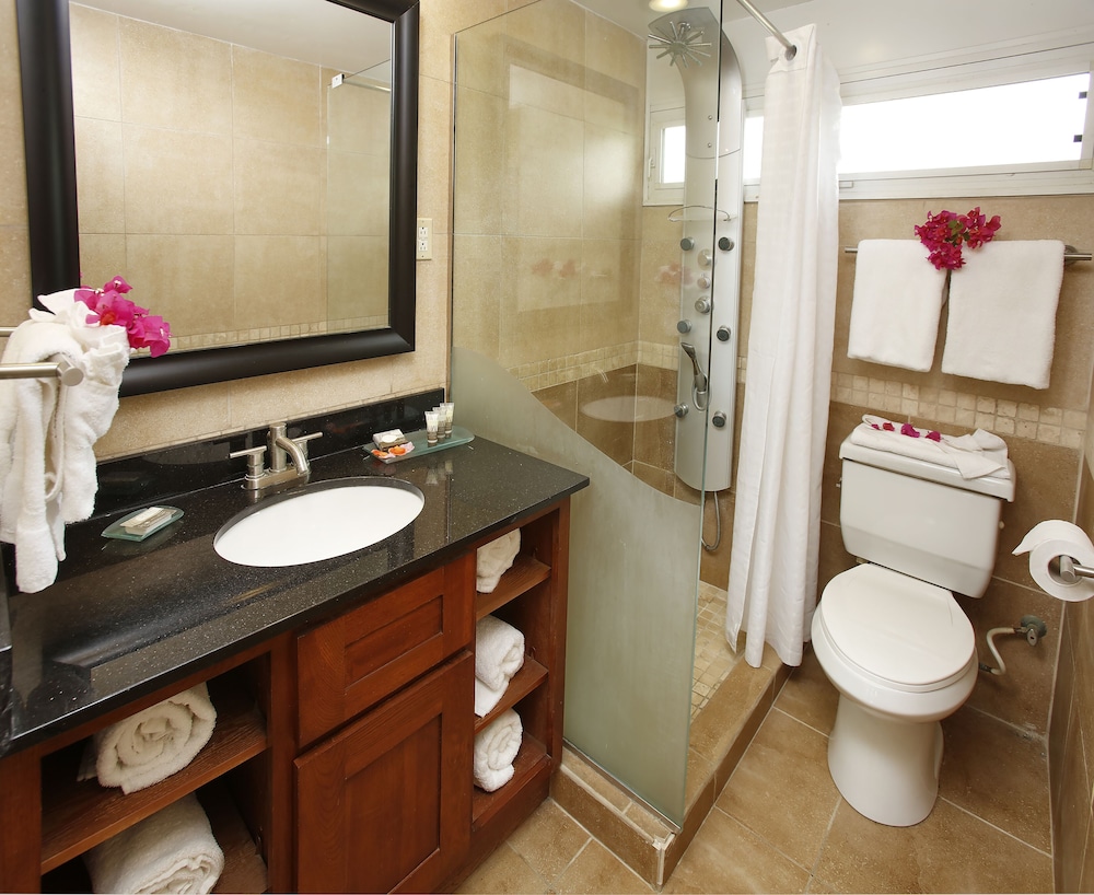 Studio Suite - Photo 7