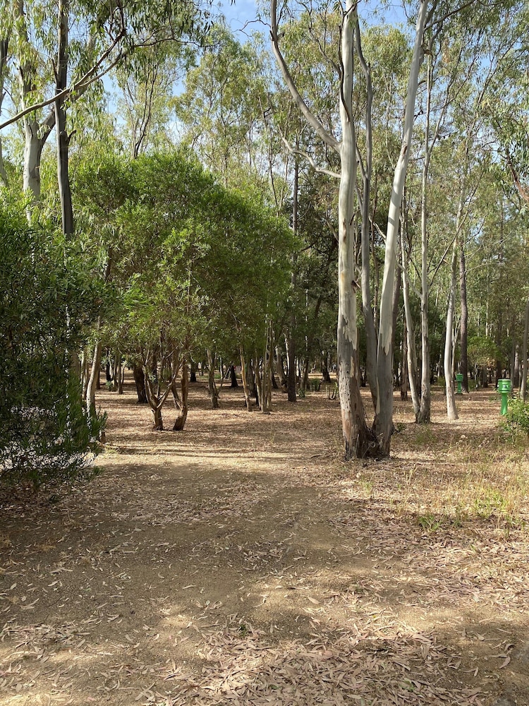 Mobile Home photo 3