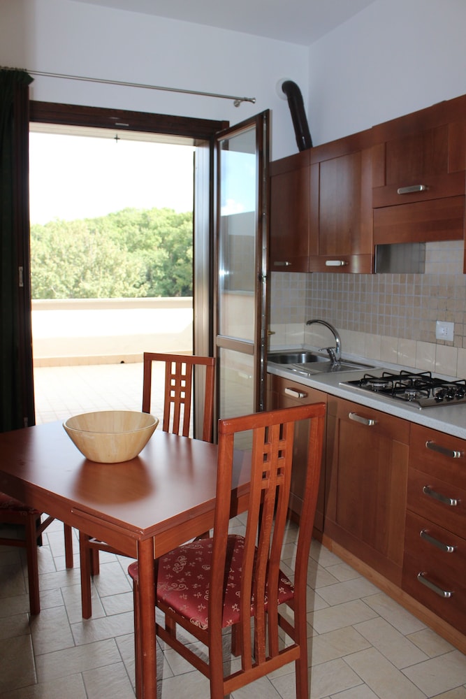 Apartment, 1 Bedroom, Terrace photo 1