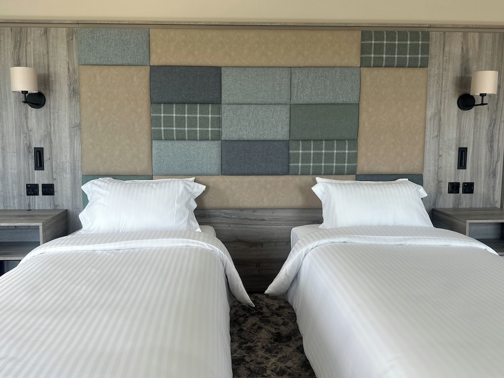 Executive Double or Twin Room - Photo 7