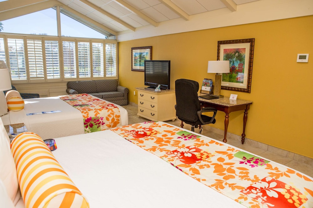 Standard Room, Multiple Beds, Non Smoking, Refrigerator & Microwave (No Balcony) - Photo 3