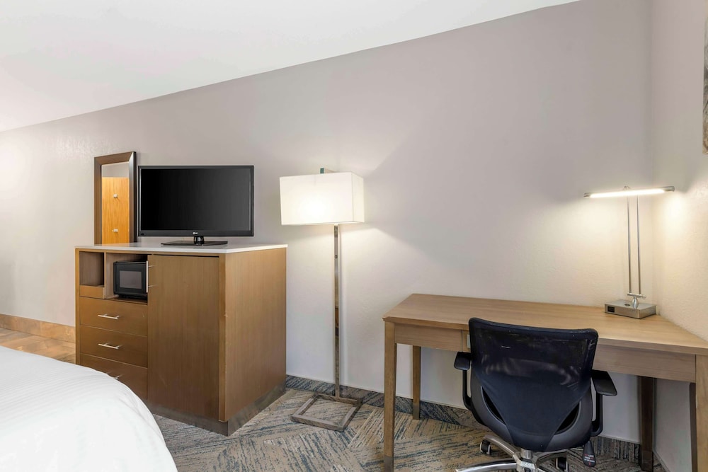 Standard Room, 1 King Bed, Accessible, Non Smoking photo 2