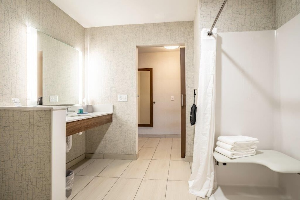 Suite, 1 King Bed with Sofa bed, Accessible (Communications, Mobil, Roll-In Shower) photo 2