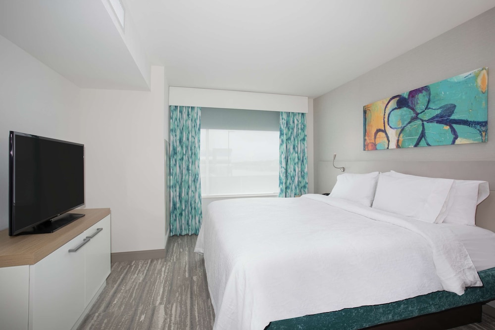 Executive Suite, 1 King Bed photo 3