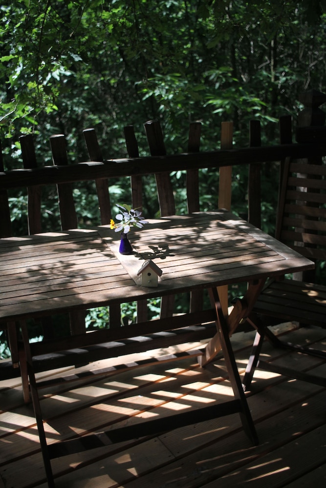 Tree House (Cabane Escalier) photo 2